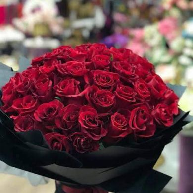 umma1698225645 Profile Picture