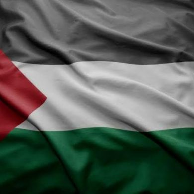 أمير بن عماد