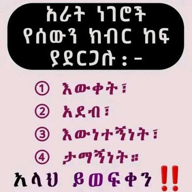 Sewda Nuredin Profile Picture