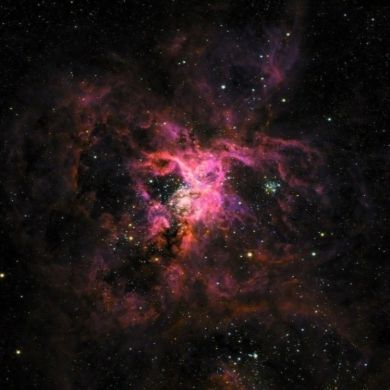 Malvirarte profile picture