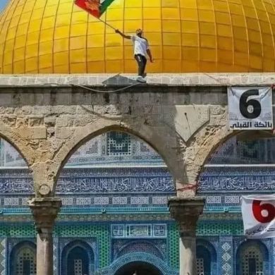 umu yehya Profile Picture