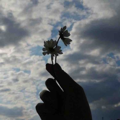 Basma Nasser Profile Picture