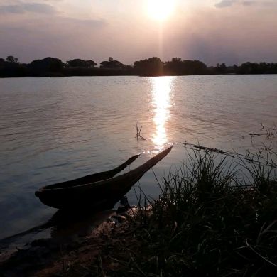 ibnu esse Profile Picture