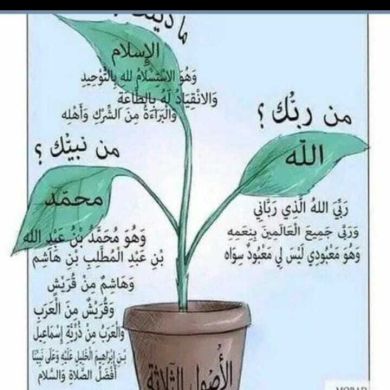 فاطيماة 97466408892