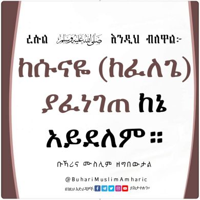 kedir merse Profile Picture