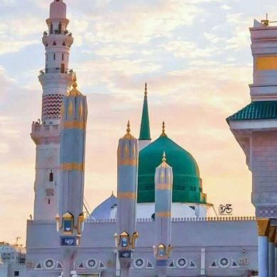 sumeya kamil Profile Picture