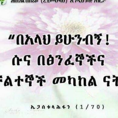 Sultan_Khedir Profile Picture