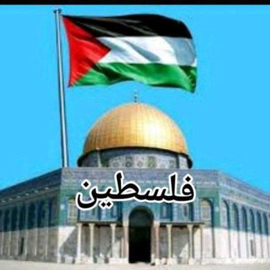 sebah muhammed Profile Picture