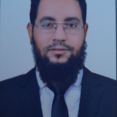 حامد عبدالعاطي