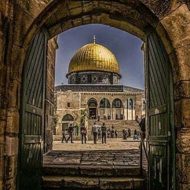 abdala riad Profile Picture