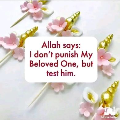 Abubaker Tefera Profile Picture