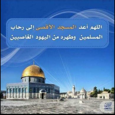 Esmael Reshid Profile Picture