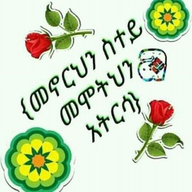 Muhammed Khedir Profile Picture