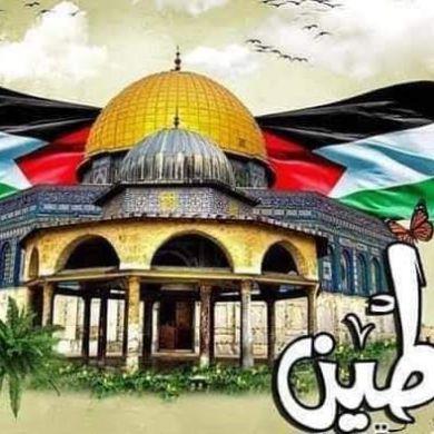 Ahmed Fathy Profile Picture