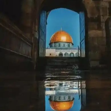 Rehima Abu Profile Picture