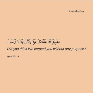 kheyru sherefa Profile Picture