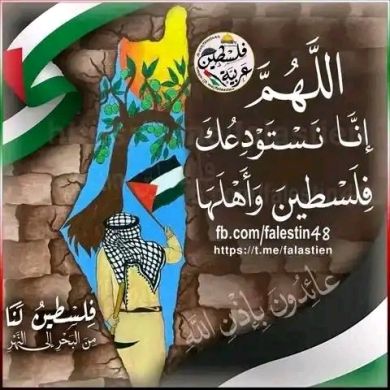 Shamil Nasir profile picture