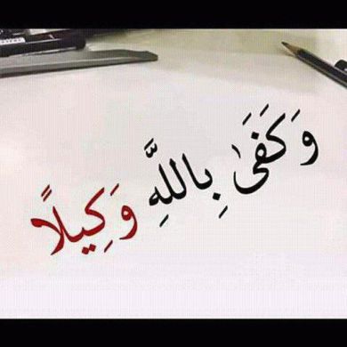 mohammed abdulhalik Profile Picture