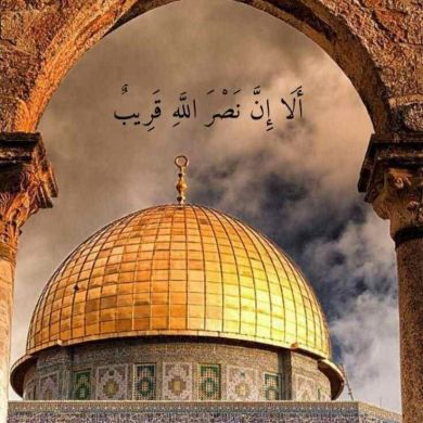 Seydaha Yasin profile picture