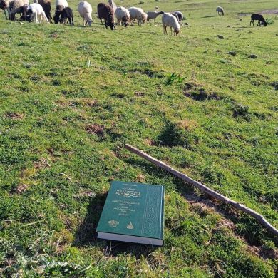 علاء الدين الحمدي