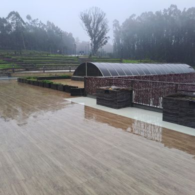 abuki solo Profile Picture