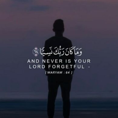 Hayatu Shemsu Profile Picture