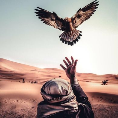 stxa stxanskii Profile Picture