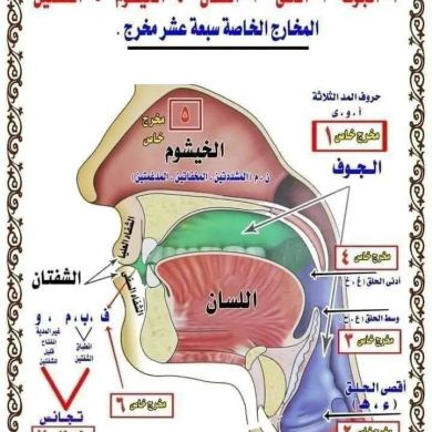Abubekr Kasim profile picture