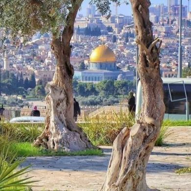 musa kamil Profile Picture