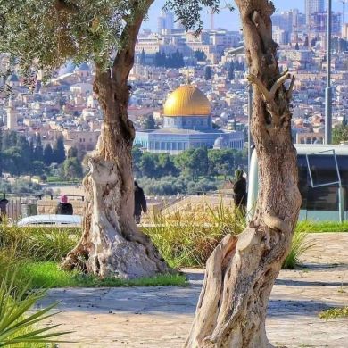 Nasriya Binet Tamame