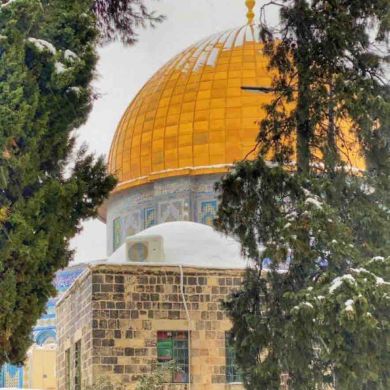 أبو عبدالله الأثري Profile Picture