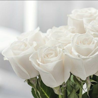 روان منى Profile Picture