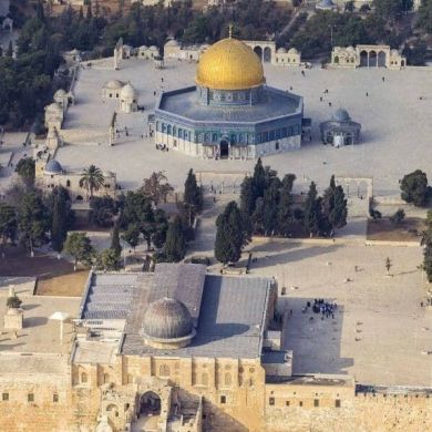 حسام الدين ابو العبا