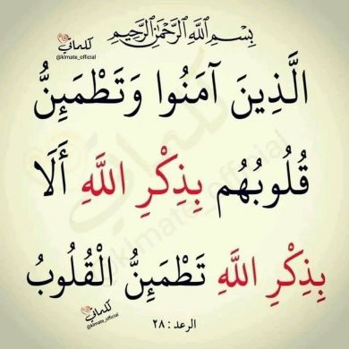 Yasin Mohammed Profile Picture