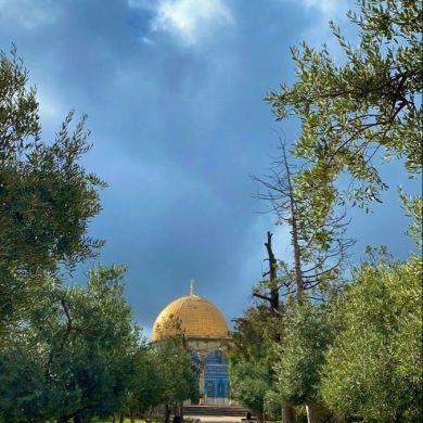 Mounia Azzouz Profile Picture