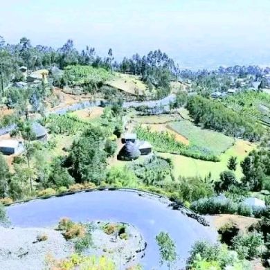 SHEMSEDIN KEDIR ሊጋባ