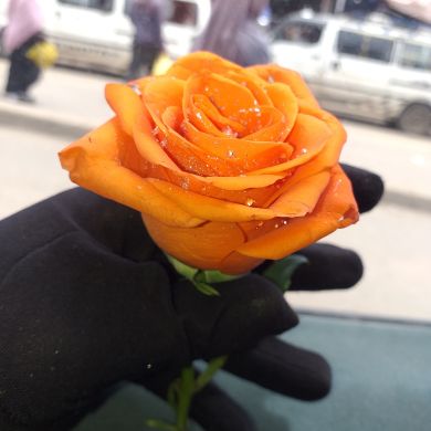 Hanan Kibebu Profile Picture