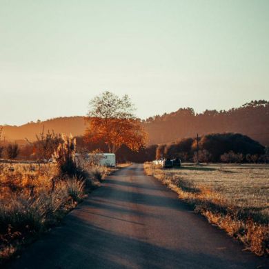 ᏃᑌᗷᗴᎩ ᖇ Profile Picture