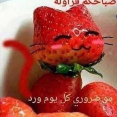 فارس العنزي Profile Picture