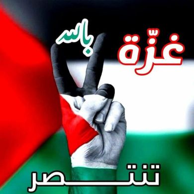 Nesma mostafa Profile Picture