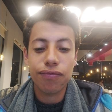 مصطفى حسين سيف