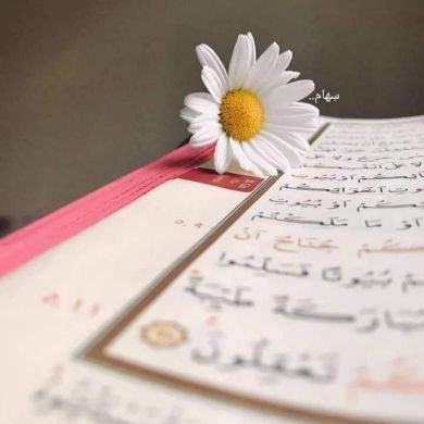 Sihem Layachi Profile Picture