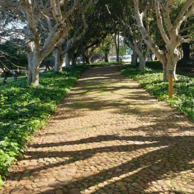 لبنى الصالحي Profile Picture