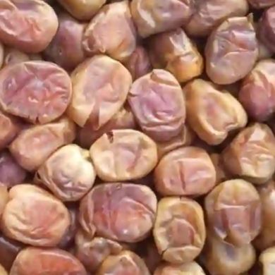 Zeynedin Abdela Profile Picture