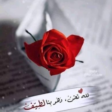 محمد الغزاوي Profile Picture