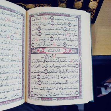 sefa gabir Profile Picture