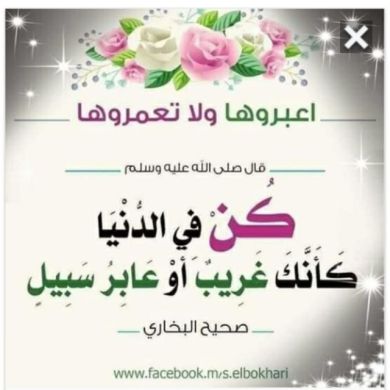 ahmed kemal Profile Picture