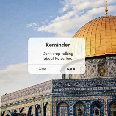 yusra zeynu Profile Picture