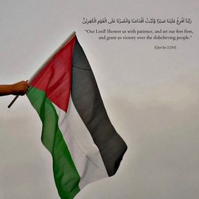 hanun mifta Profile Picture