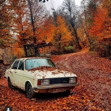 Yunusov Muhammadnazar Profile Picture